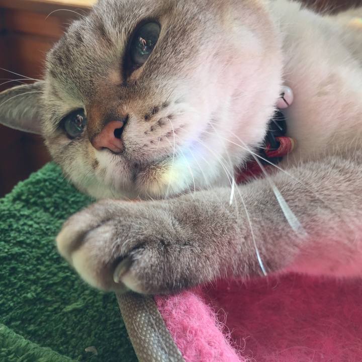 7ffa65af cf20 4e7e aeab b29a16bf4b14 1575696285769