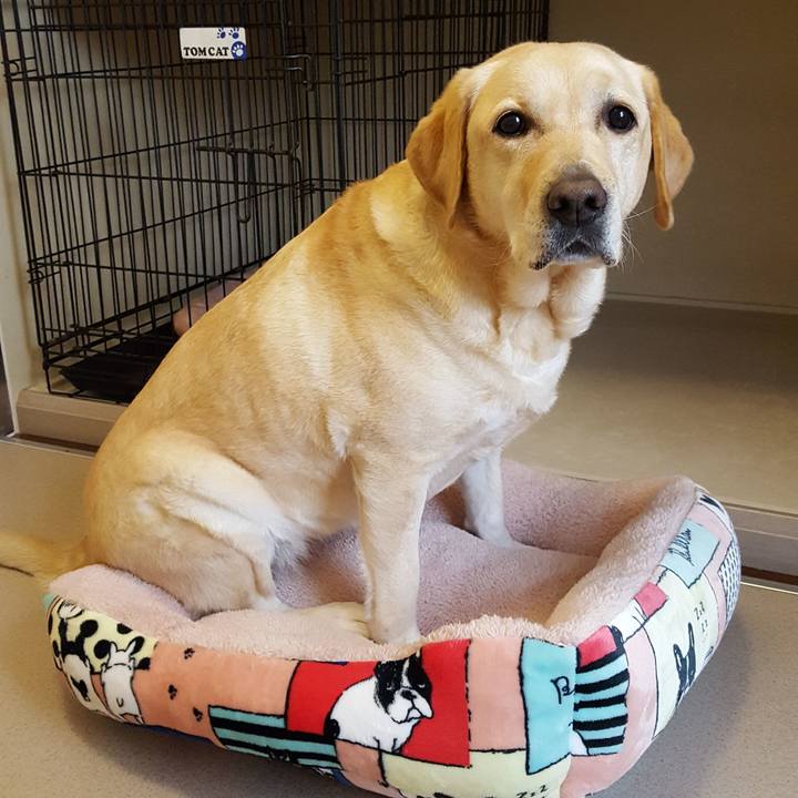 7ffa87a4 aa00 4c3b bd43 2683995cedb6 1547598866170