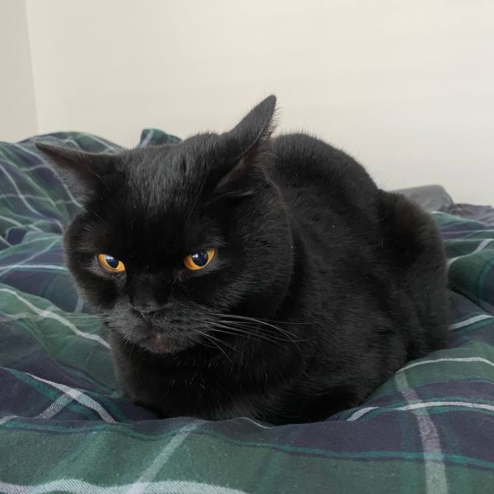 7ffad15e 3923 4fd7 b642 41c7fe1e3965 1610755892385