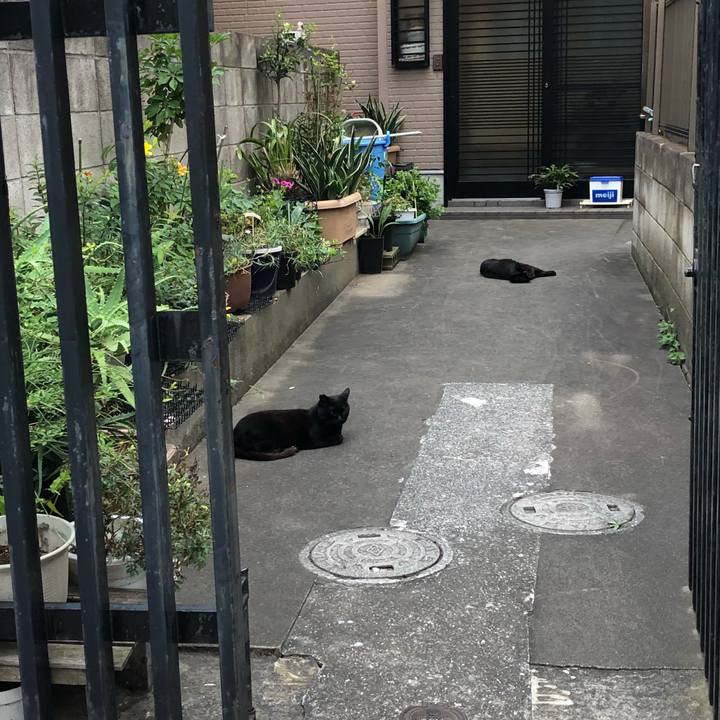 7ffae7a2 44ab 4c89 9160 ccf45134d940 1531083744098