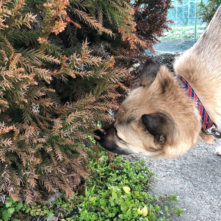 7ffae80b 79c1 4b46 800f a3bf27b42aa3 1520428511267