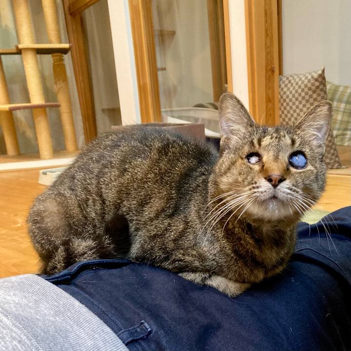 7ffaf50c a201 4a80 8883 585a9419eaf3 1667290307691