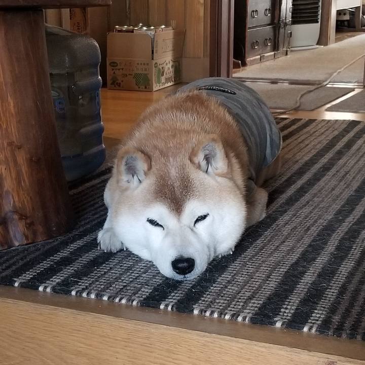 7ffb05ed 7b12 4132 91bf 33d5444e4900 1679268812030