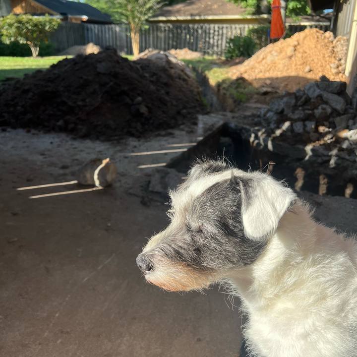 7ffb1133 6049 459b be64 8ae97e25ea4d 1691707450940