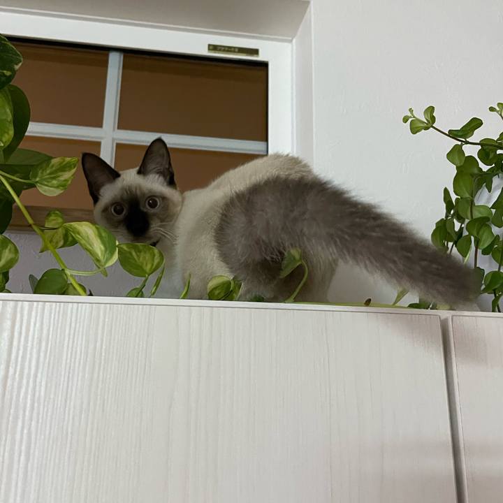 7ffb1b95 0f5a 43b3 8108 17db68ce1c7d 1695324566527