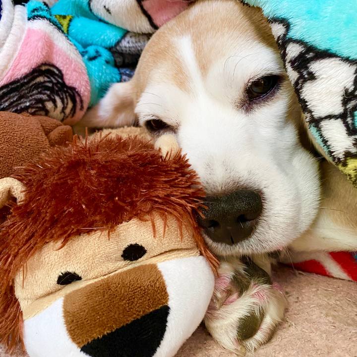 7ffb2b4b 51a7 4553 bdbb 4f67034030db 1586228296460