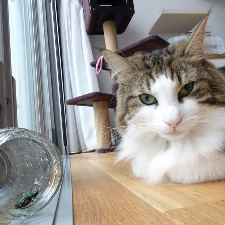 7ffb4b82 95bc 4331 999f 6413f66c2140 1535857635759