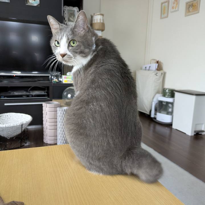 7ffb4e6f b4b7 4a9a b838 4b73ba869be3 1755668920007