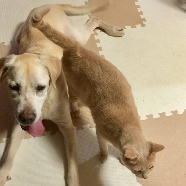 7ffb5e80 89b5 417d a514 2e9f7f68d94f 1562724528875