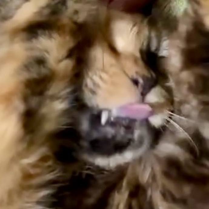 7ffb9a5d b0a9 49d5 9ced 9a3f0ffce721 1744229679122