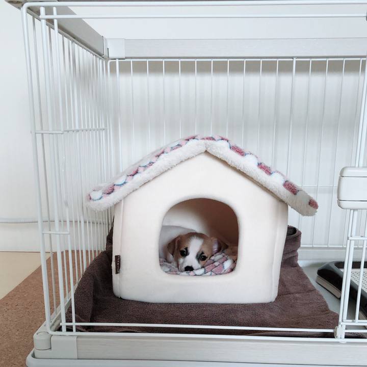 7ffbca62 81dd 411e 9536 3ec983412bbe 1543797789978