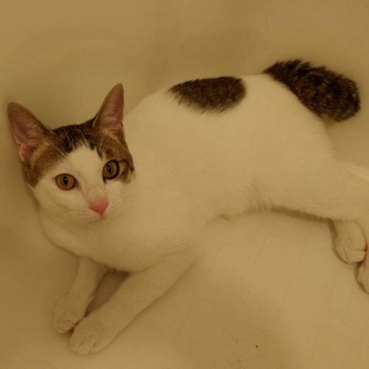 7ffbdf42 de7c 4117 8bd7 835236323769 1654255453650