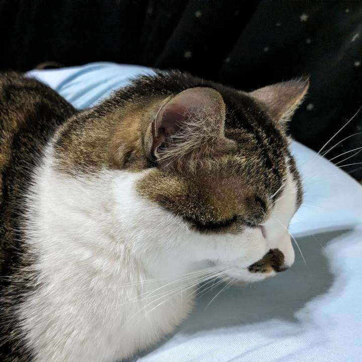 7ffc103d 02ad 4f6f aace f8753804b0d8 1702204648245