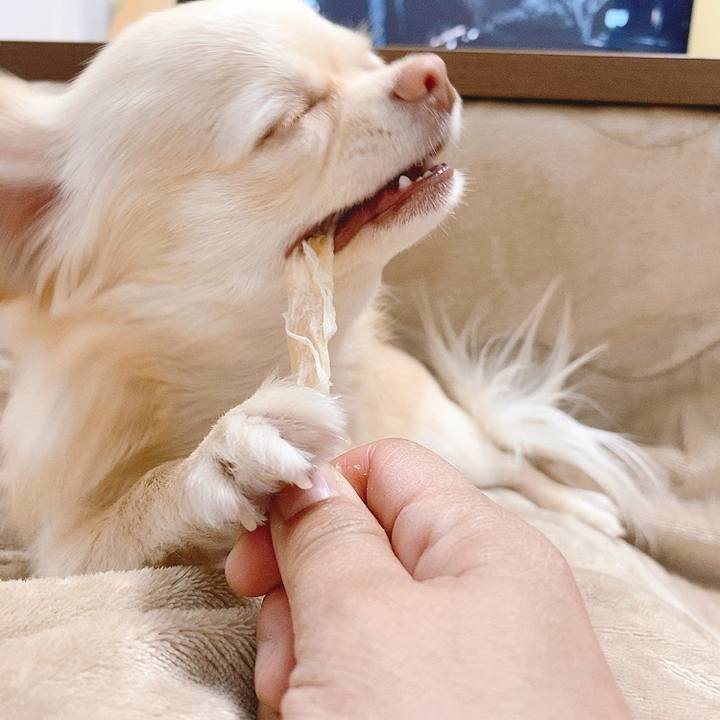 7ffc30b9 44d0 4f8d 9341 4b41025f494c 1618821258863