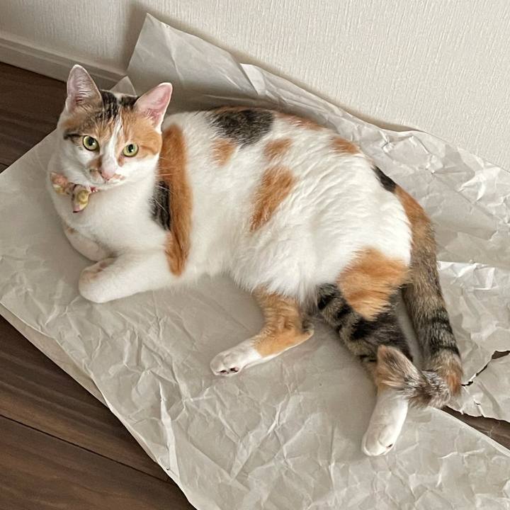 7ffc32d9 b3d2 484f a282 50d1ccb7ca5c 1630826151780