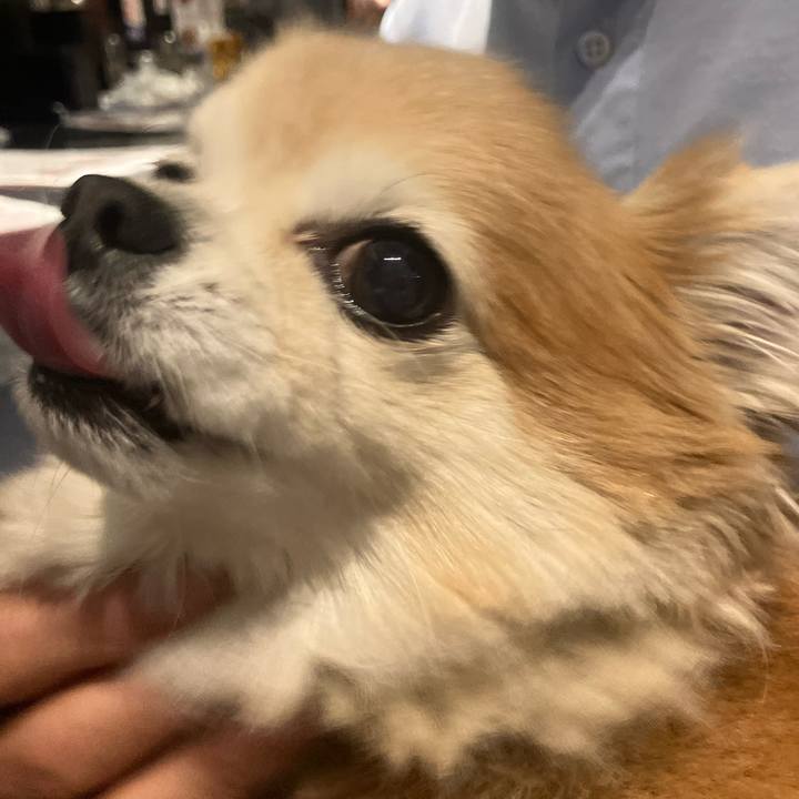 7ffc3b26 0cab 436d 80d8 a022f4bd4a10 1773109362475