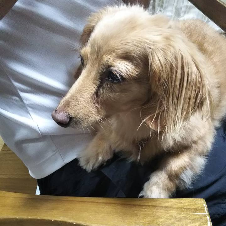 7ffc3cb8 f7ab 4435 80ff d4b5d4ca993c 1568289173799