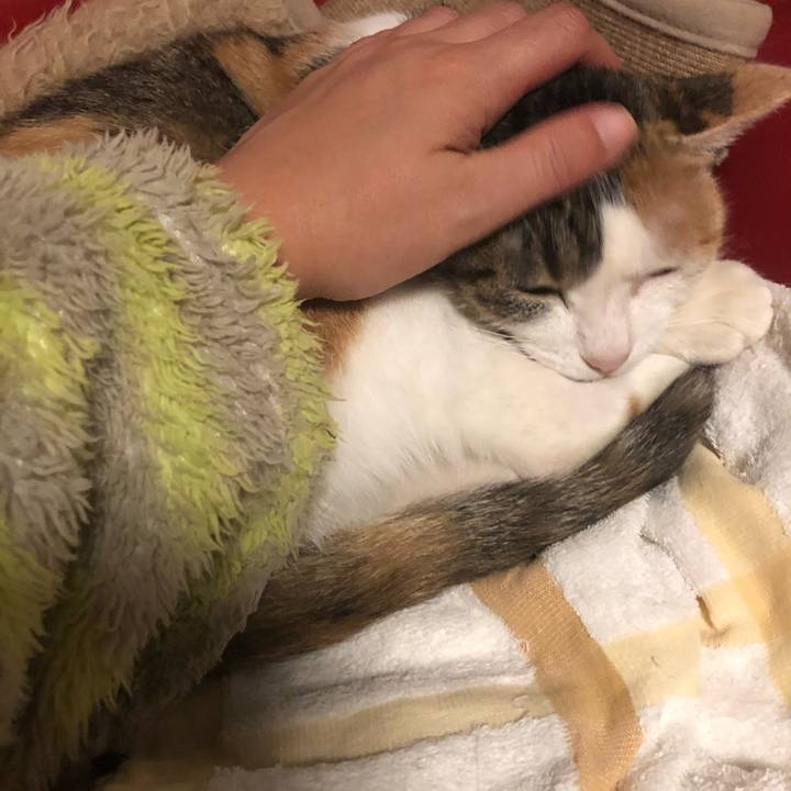 7ffc53d4 4330 4d52 a604 7656b1c8685e 1576331792856