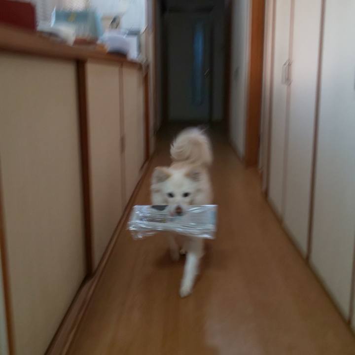 7ffcb740 55d7 4123 81c4 991c8ffc1edb 1704354721419