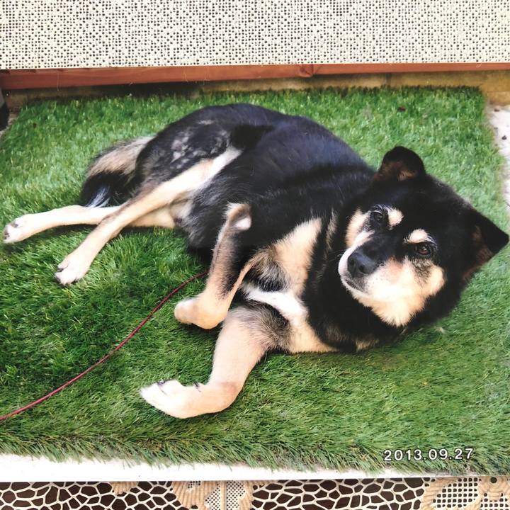 7ffcc7db 56c2 4406 97ca 2f6aa68e2fe0 1530939513187