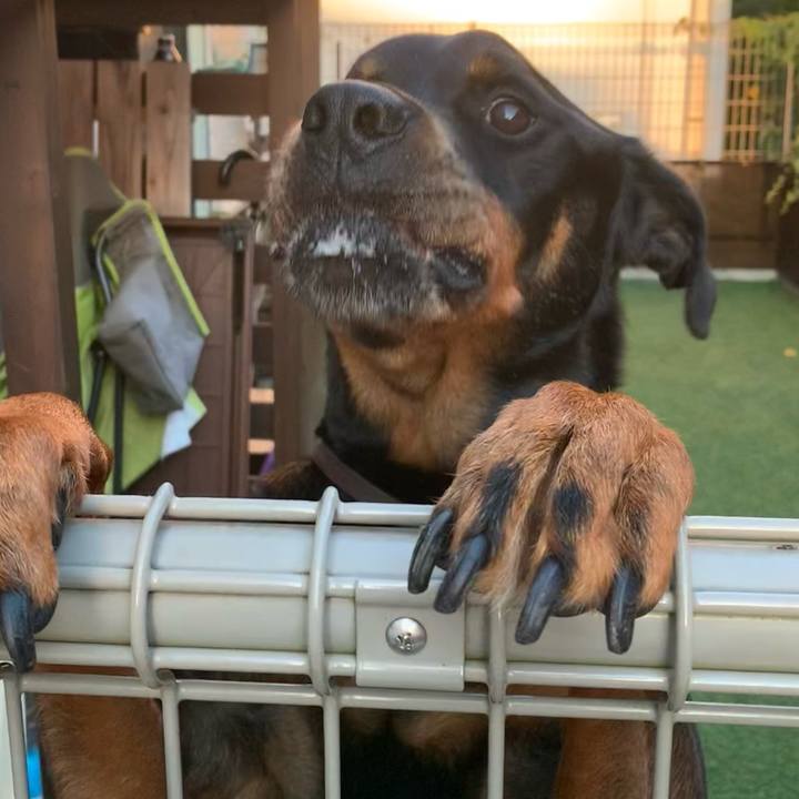 7ffcf5ab 90a7 48e4 bf12 4c3aae494b6d 1723639861207