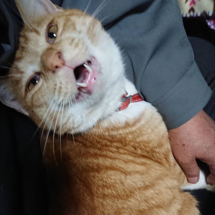 7ffd30bc e24a 4f2f 979b 8f97b3b24dc2 1575516982647