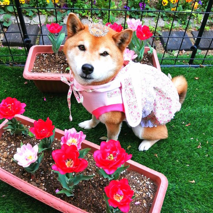 7ffd52cd 12ed 4f1c 9e43 63c8e0ccda60 1649836292118