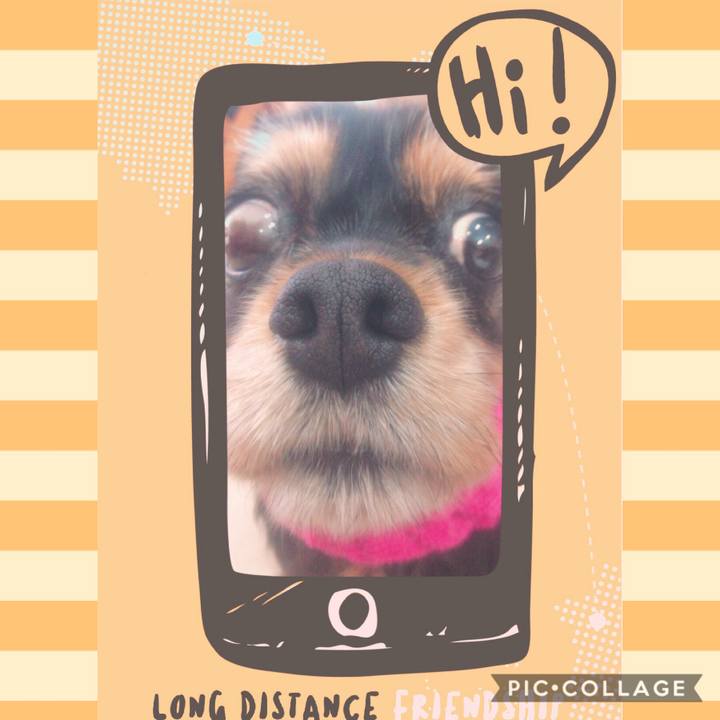 7ffd7b53 441a 4095 ab6b b5c89174cd3d 1584331432305