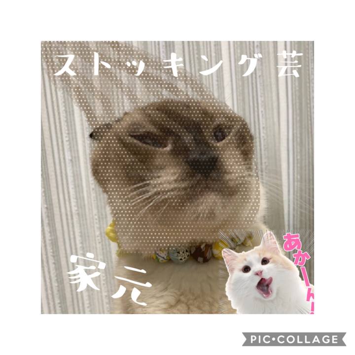 7ffdaefb 6f15 41f8 b144 22c127fed091 1567999895618