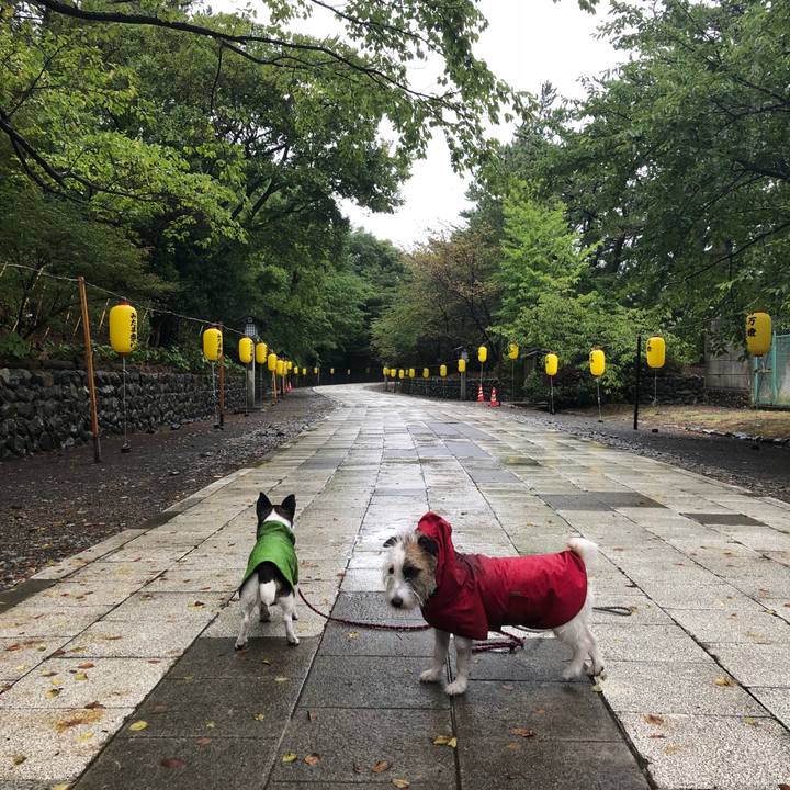 7ffe09cf a25a 4ca7 b897 8ddf3cacfab6 1534380159874