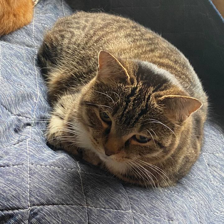 7ffe4ec8 9d9a 4b70 adaa 91c9b3ac06d2 1586045992029