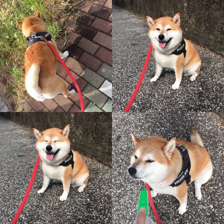 7ffe51bb 541d 422c 8bbd b971edf05a3c 1599005644796