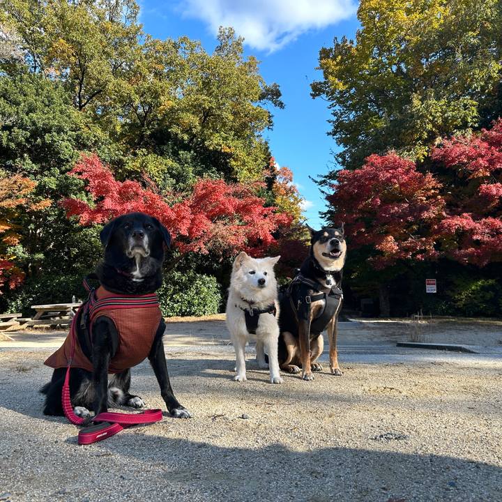 7ffe6067 7be0 47dc a9f1 8bfddc3ac59e 1732979572456