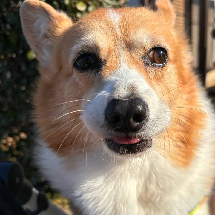 7ffe9acb cd4b 4de5 869a 7426620acb92 1768189357319