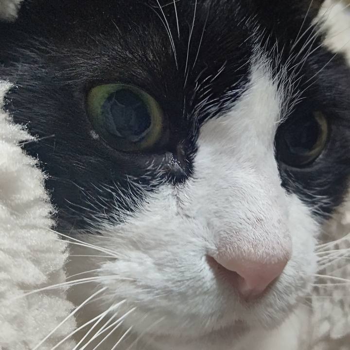 7ffea47b fab8 4894 adb1 0110db08e702 1640766525204