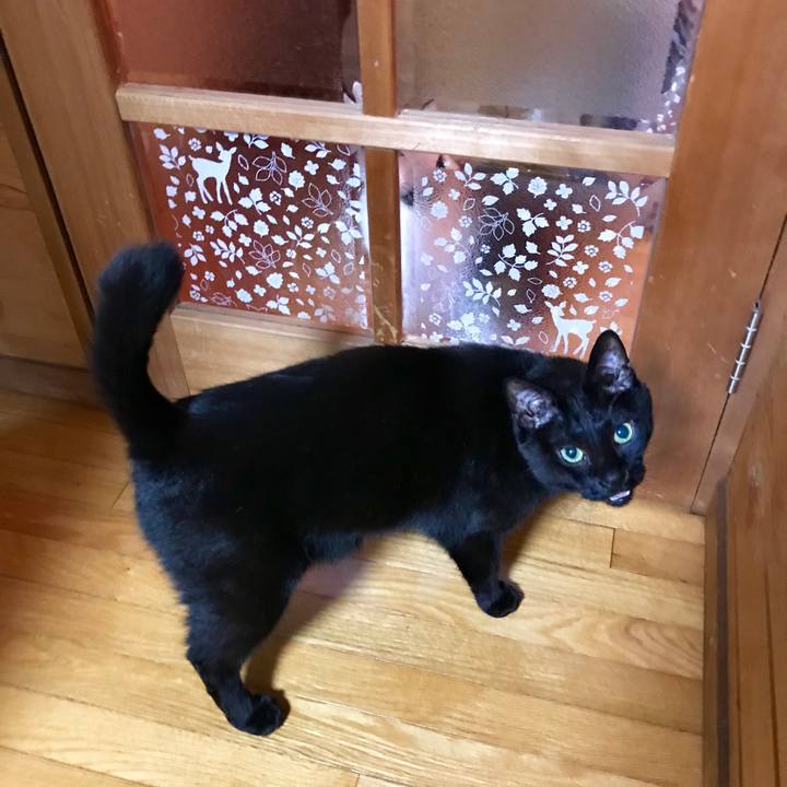 7ffeaacf 8956 42bd 9879 f5d61cb549bf 1524995918509