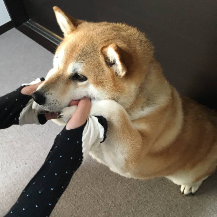 7ffeb6d6 e0fa 4b25 bcd2 e2665ad695bf 1598256015011