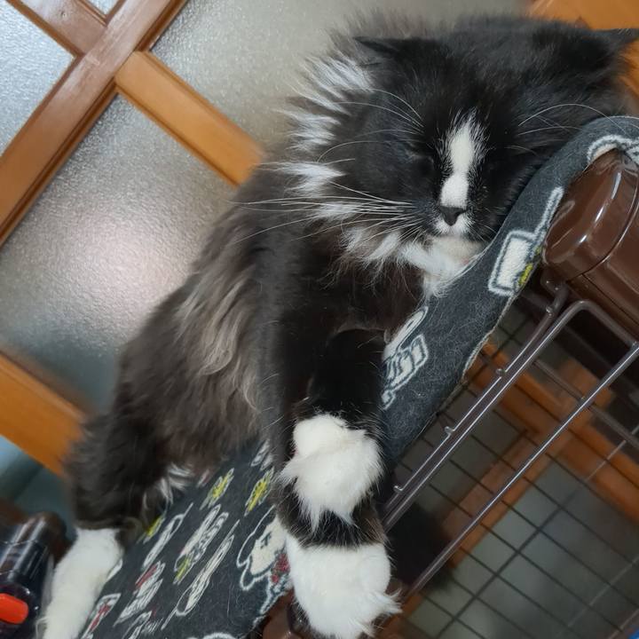 7ffef306 0479 42c1 b2af 331e8a117de5 1686192793387