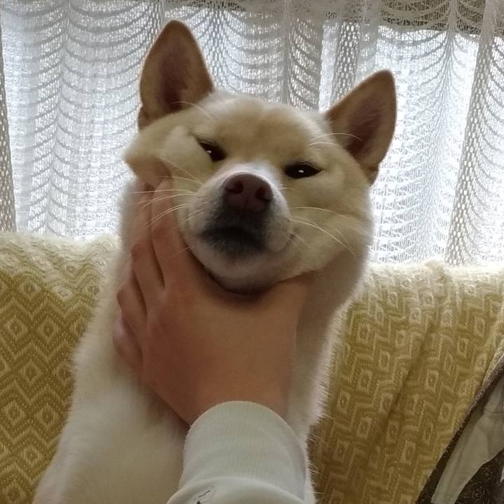 7fff5143 d6c3 4349 8f46 2058be6ac872 1545869067401