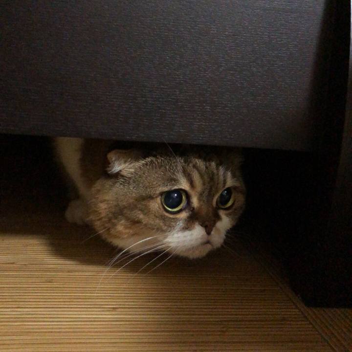 7fff5b8d 0449 4397 95a5 3771ff217ae8 1536319199357