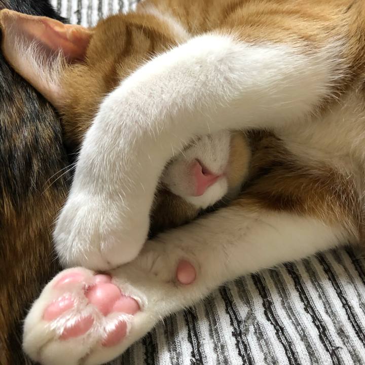 7fff6504 b240 4c08 9490 ec408f57747f 1559309181580