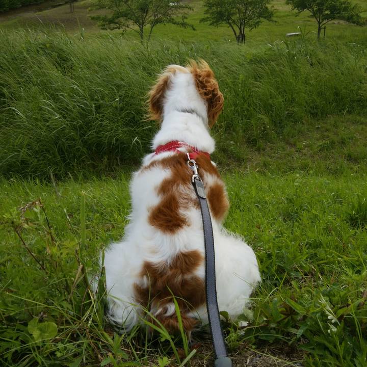 7fffccbb 7739 4c2a b587 62166cb5f967 1526817984822