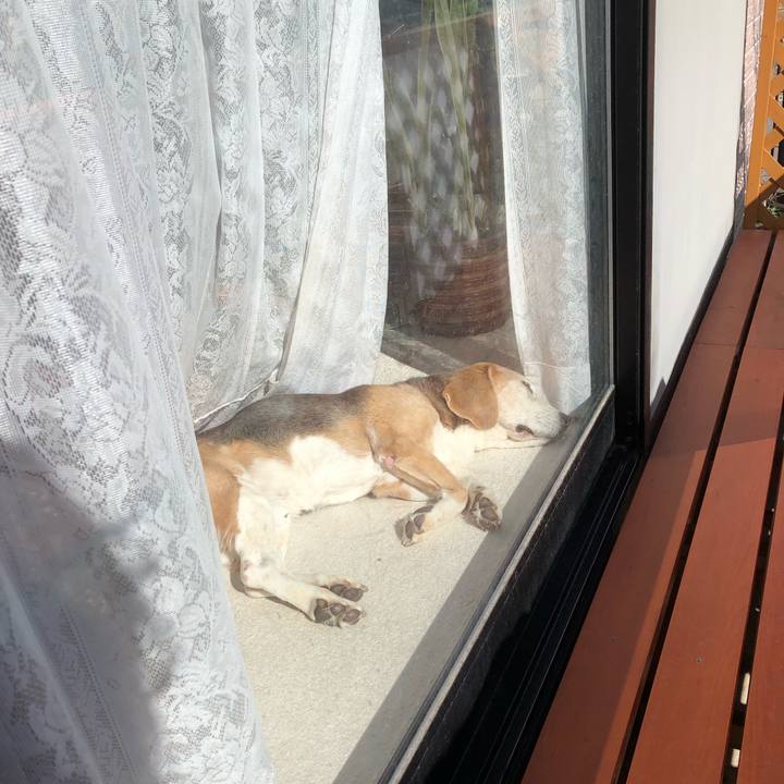 7fffd308 2b8b 4f7a 9e3c d150f13303b0 1553779447253