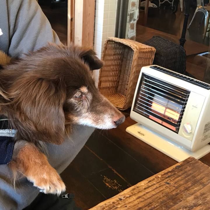 7fffd483 3e8b 4115 ab8c b866aec70a7f 1547439165356