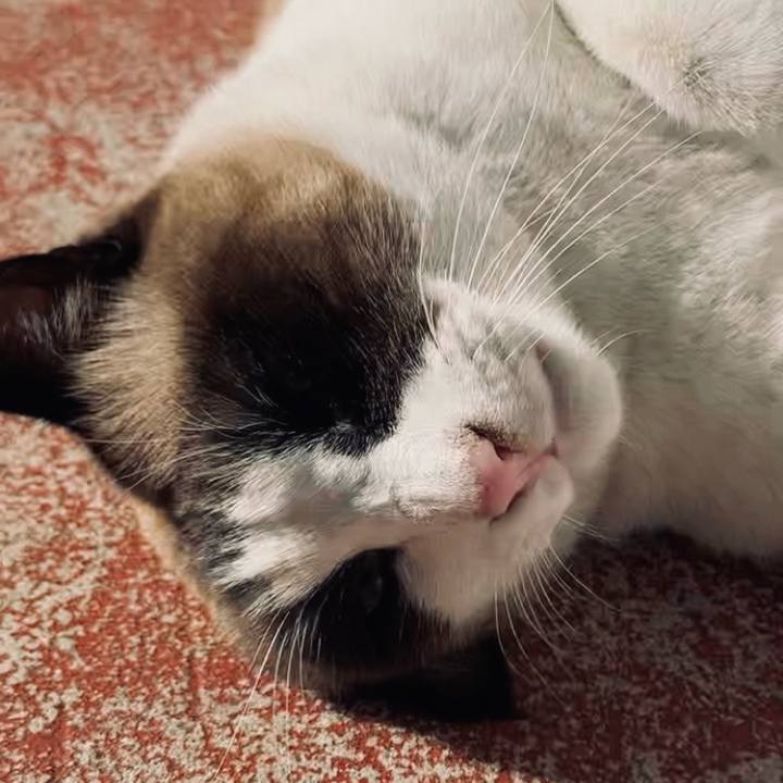 7fffe5d1 7c3d 45bd 9742 07a2bb7c6263 1736228253938