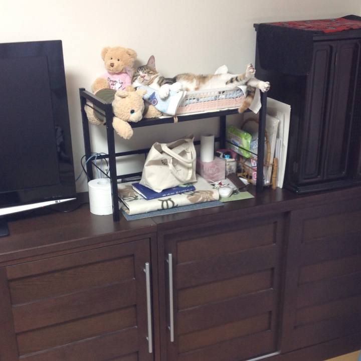 80005a0a 4bf2 4b27 aea2 31678fd3268e 1643686791532