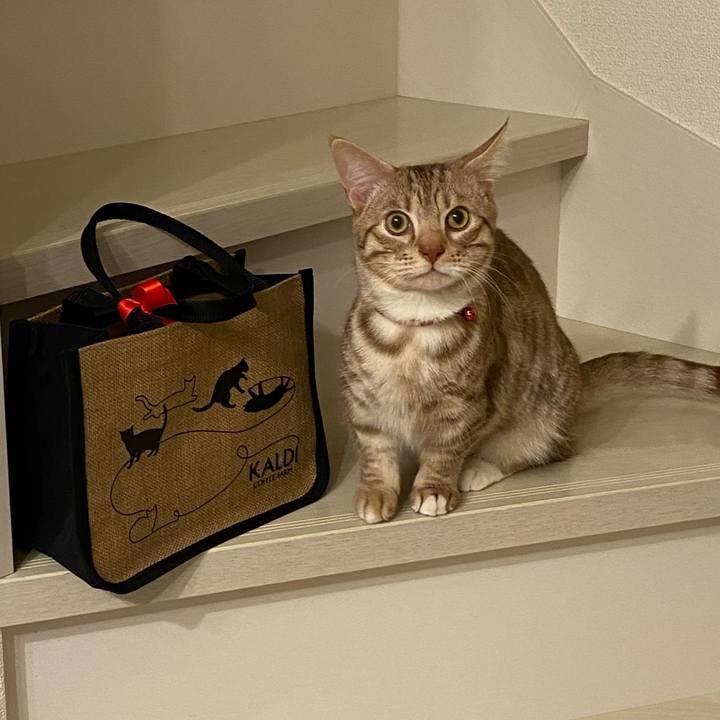 80009fa1 88ba 4899 9b5e 1152f75bbb93 1614081960205