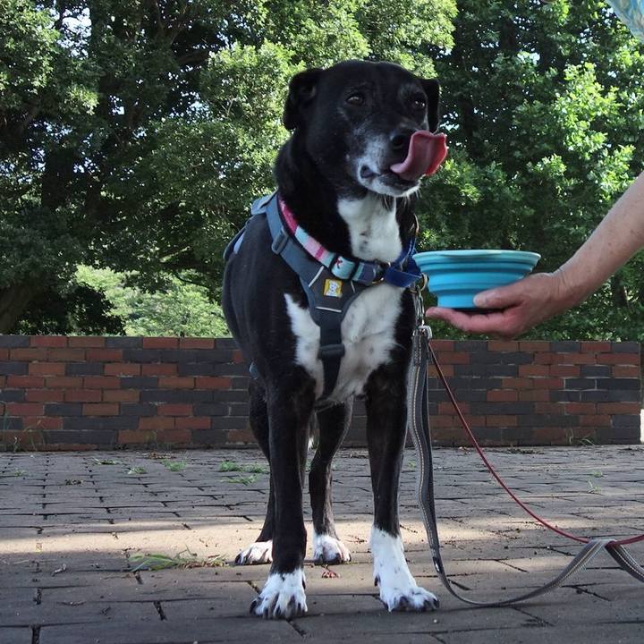 8000efe3 9a56 45f8 99ca d1553c605241 1750982550039