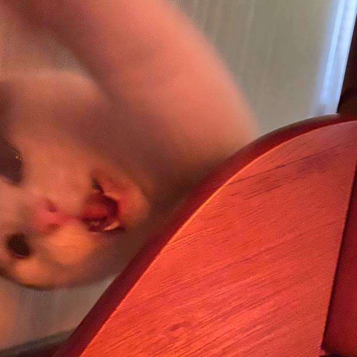 8000feb1 90db 46f9 8ec5 f678078210e6 1582328947207