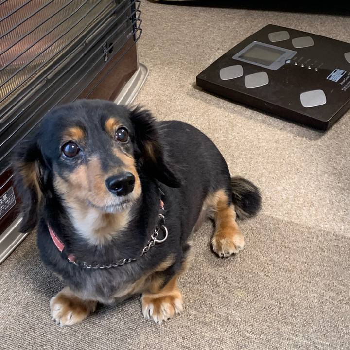 8000fed5 fd68 418f 95d6 c4d312b9d411 1572990090261